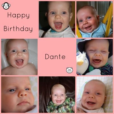 Happy Birthday Dante