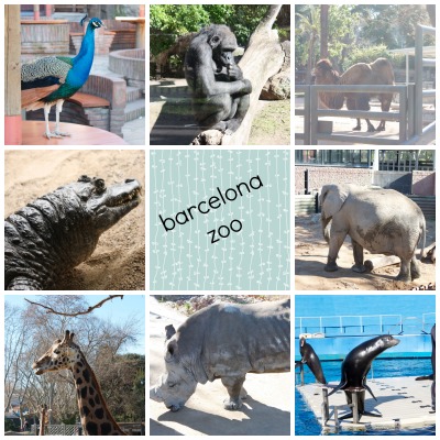 Barcelona Zoo