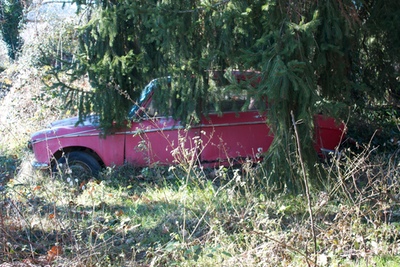 An abandoned car /></p>
<p><img src=
