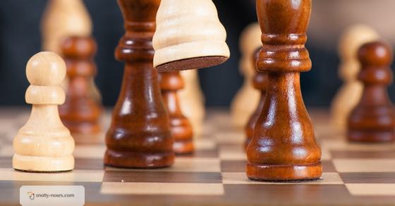 How Chess Can Help Children Grow Smarter - KIDPRESSROOM