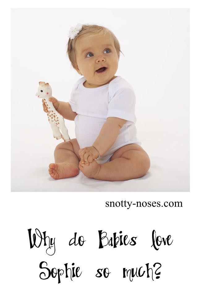 Sophie the Giraffe is loved by babies as she appeals to all five sense. She's great for baby teething