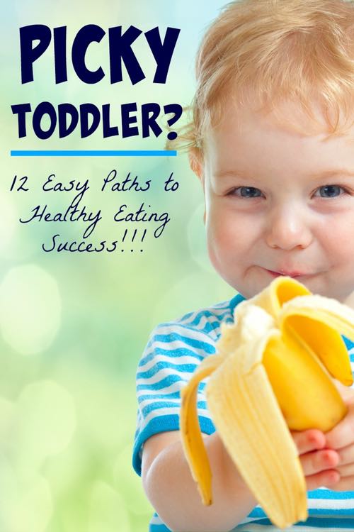 12 Tips to Transform Your Picky Eater into a Healthy Eater