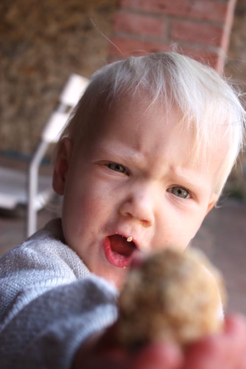 No Cook Energy Balls. A healthy snack for children.