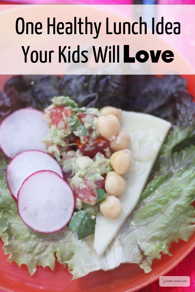 Easy, Healthy Lunch Idea for your kids. This healthy lunch idea is so fun. Your kids will love putting it together and eating it!