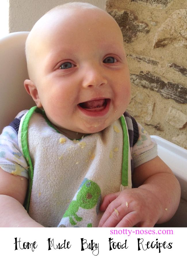 Homemade Baby Food is Healthy And Cheaper than shop bought.