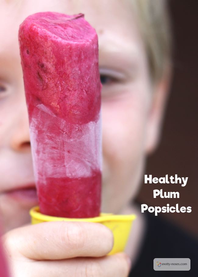 Plum Popsicle Recipe. Quick, easy and healthy