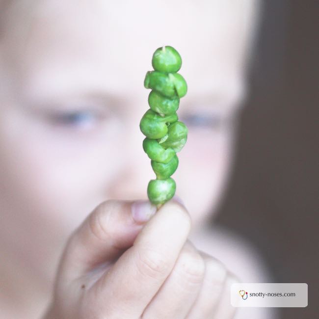 One Cute Trick to Help Your Kids Eat Their Veggies. It can be so frustrating when kids refuse to eat their veggies, but this cute trick will have them asking for more. Such a fun way to help your kids eat their veggies.