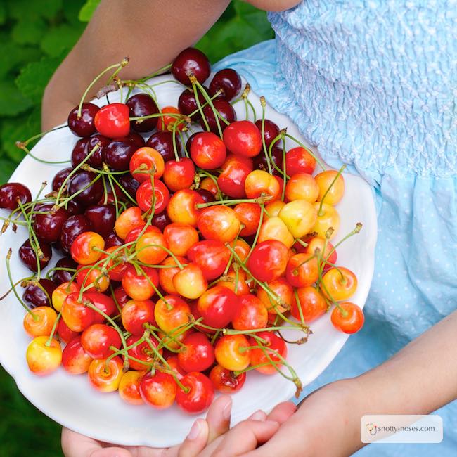 How to Improve Your Kid's Diet Step by Step. Make little manageable changes to your kid's diet and teach them healthy eating habits.