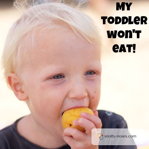 Healthy Eating for Children