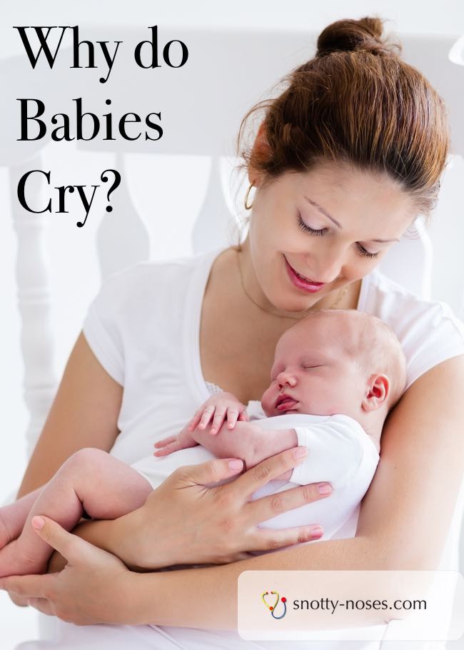 Why do Babies Cry? Did you know that babies feel stress just like we do? How their brain develops is really interesting!