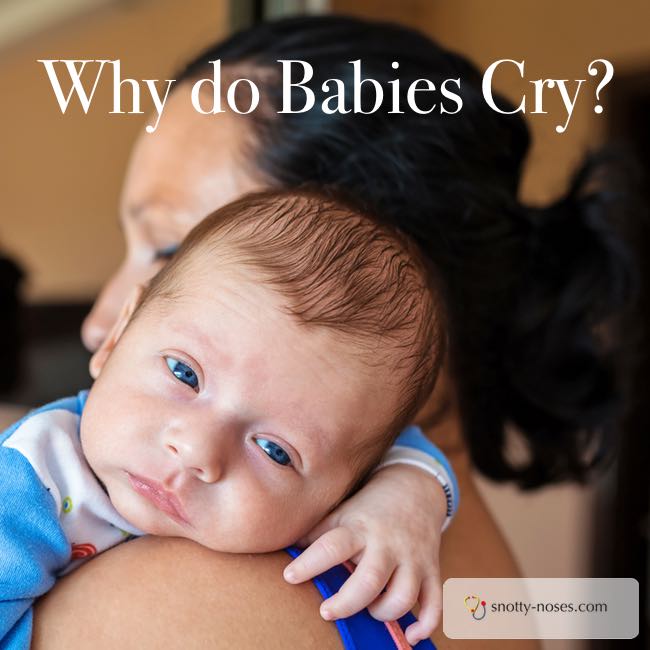 Why do Babies Cry? Did you know that babies feel stress just like we do? How their brain develops is really interesting!