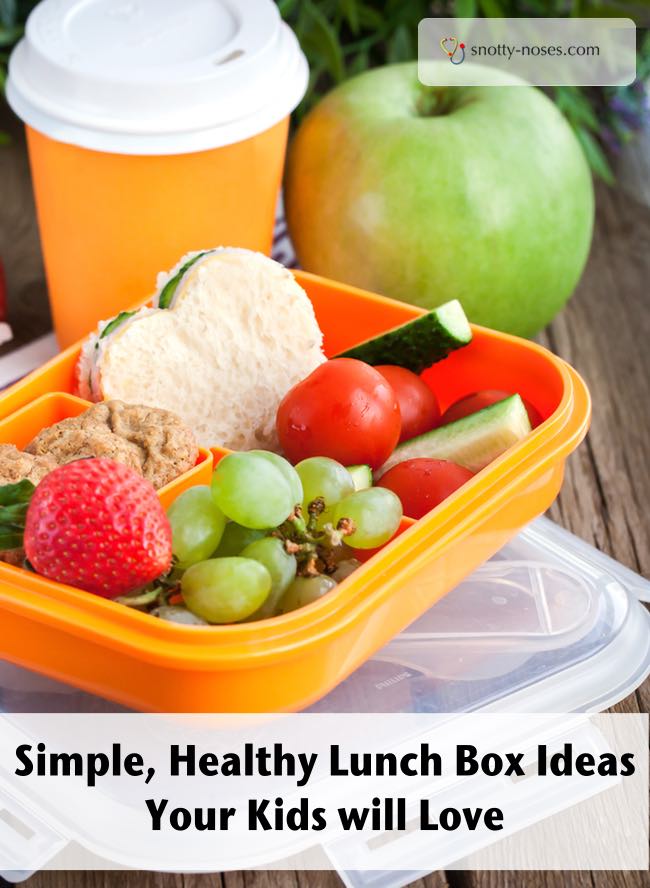 Simple Healthy Lunch Box Ideas that your Kids will Love. Healthy doesn't have to be complicated!