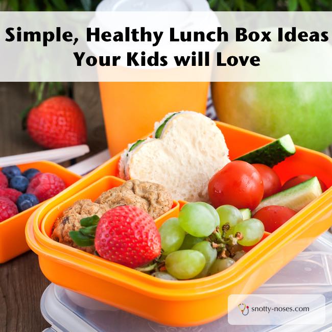 healthy kids lunch box