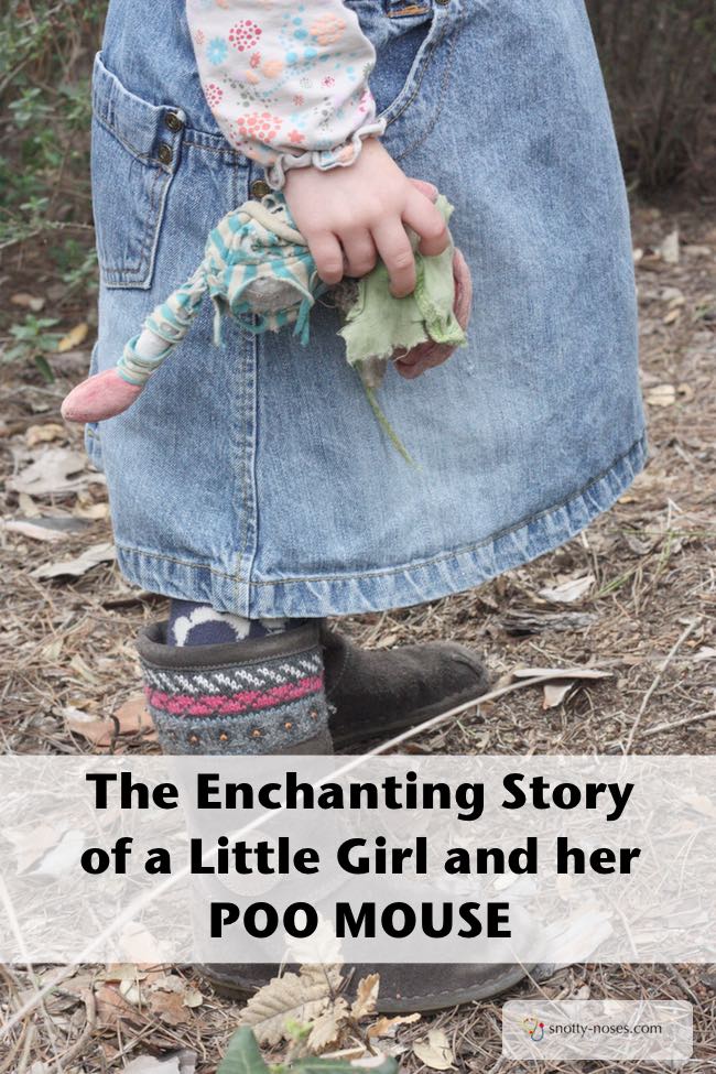 Poo Mouse. A Love Story. The enchanting story of a little girl and a little mouse.