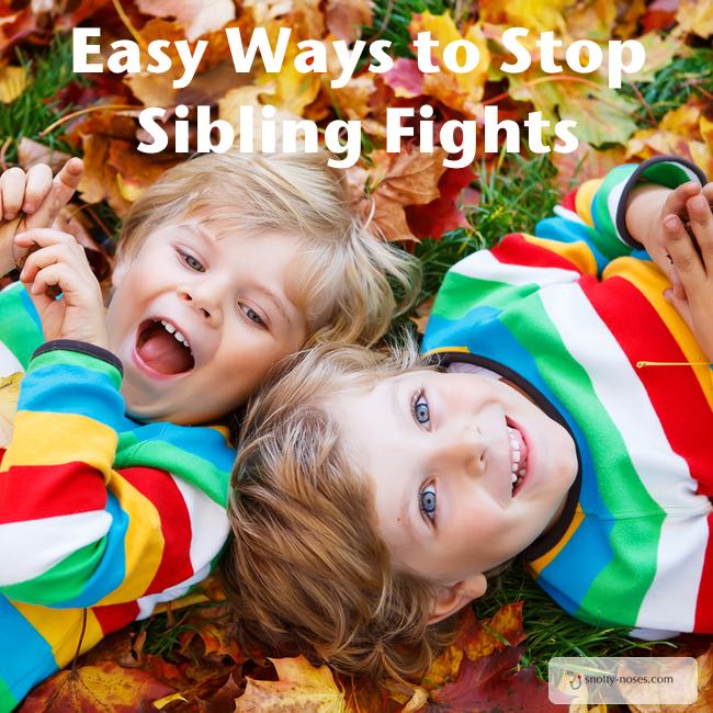 Easy Ways to Stop Sibling Fights