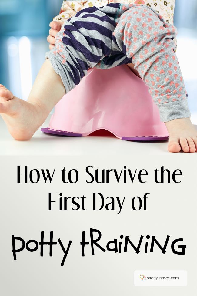 How to Survive the First Day of Potty Training. If you're thinking of the giant step that is potty training, better to be prepared. These tips will assure you a stress free first day of potty training.