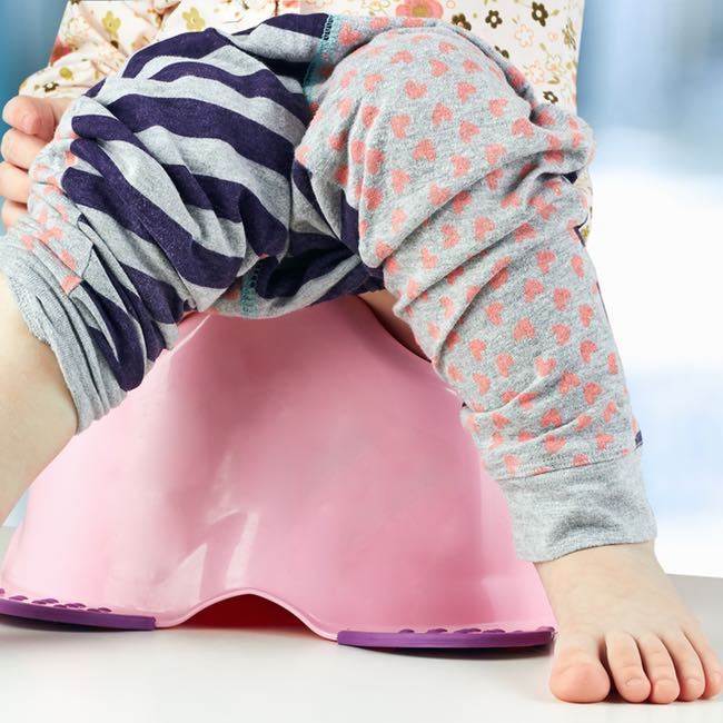 How to Survive the First Day of Potty Training. If you're thinking of the giant step that is potty training, better to be prepared. These tips will assure you a stress free first day of potty training.
