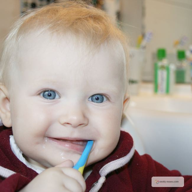 10 Tips to Help you Brush Your Toddler's Teeth. Brushing your toddler's teeth can be so frustrating, here are 10 great tips to help. I love the last one!