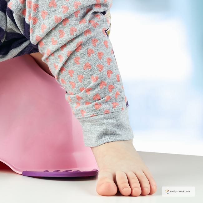 Toddler Potty Training Regression