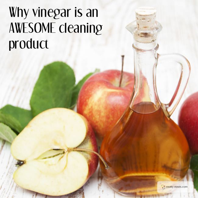 Why vinegar is an awesome household cleaner. I wish I knew this before!