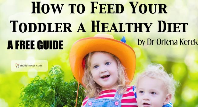 Feeding Your Toddler Cheat Sheet and Food Diary