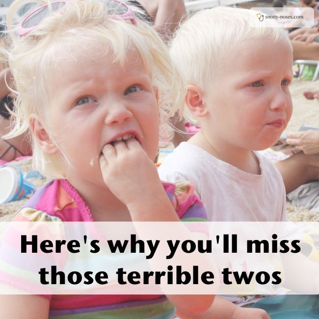 Here's Why You'll miss the Terrible Twos. 20 things that you love and hate about your toddlers